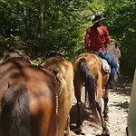 начовата къща стойките - пампорово Holiday home Vodata