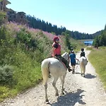 Holiday home начовата къща стойките - пампорово *
