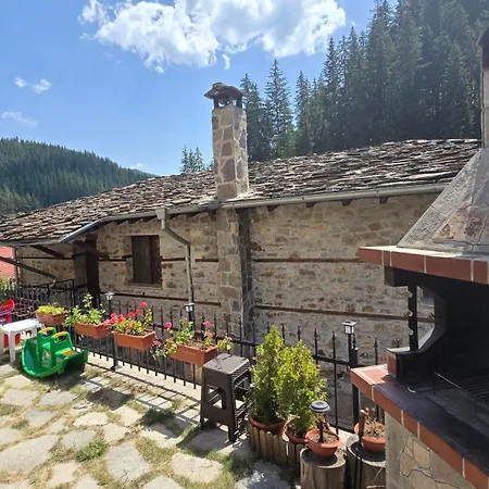 Nachovata Stoykite, Near Pamporovo * Vodata