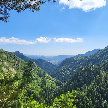 начовата къща стойките, пампорово 3*