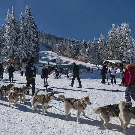 начовата къща стойките, пампорово 3* Vodata