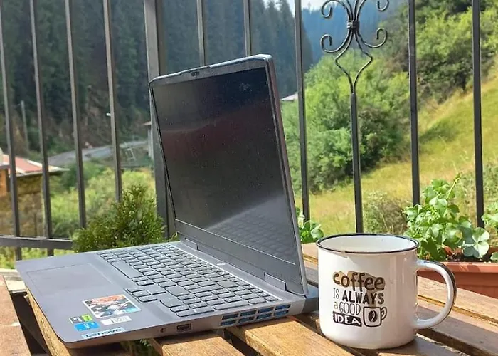 Nachovata Stoykite, Near Pamporovo Casa vacanze