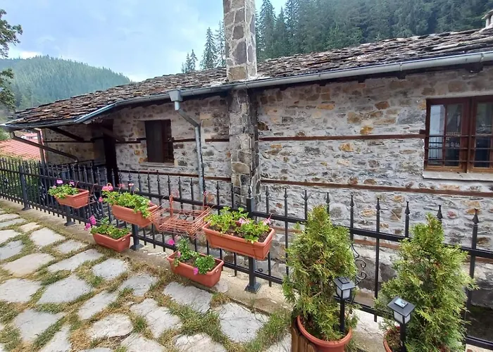 Nachovata Stoykite, Near Pamporovo *