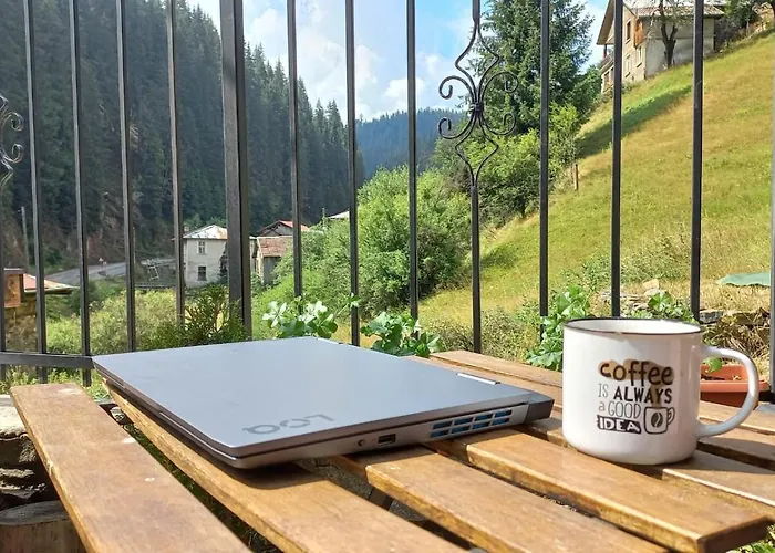 Nachovata Stoykite, Near Pamporovo Vodata