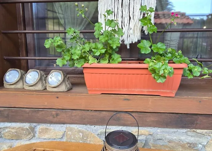 Nachovata Stoykite, Near Pamporovo