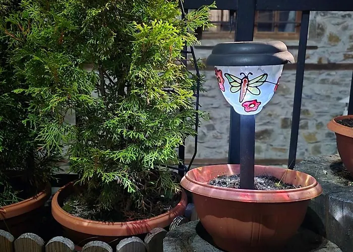 Nachovata Stoykite, Near Pamporovo *