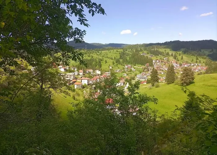 Nachovata Stoykite, Near Pamporovo Casa vacanze *