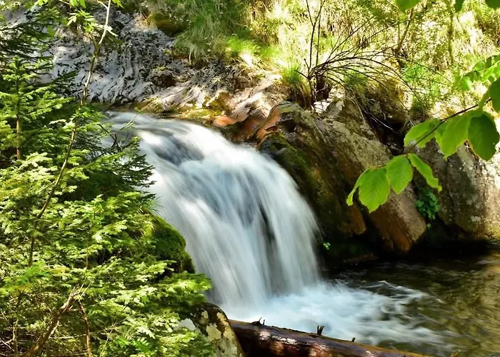 Casa vacanze Nachovata Stoykite, Near Pamporovo Vodata