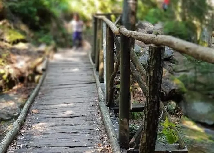 Casa vacanze Nachovata Stoykite, Near Pamporovo