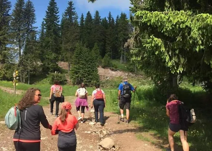 Casa vacanze Nachovata Stoykite, Near Pamporovo *