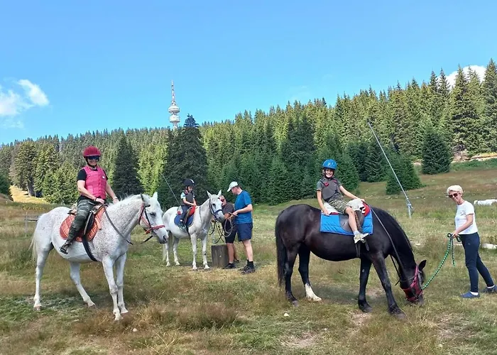 Nachovata Stoykite, Near Pamporovo * Vodata