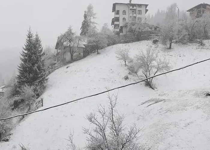 Nachovata Stoykite, Near Pamporovo