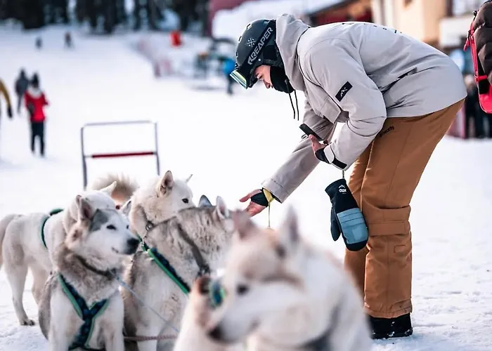 Nachovata Stoykite, Near Pamporovo *