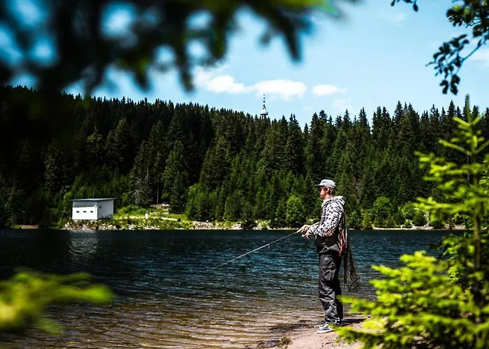 Nachovata Stoykite, Near Pamporovo