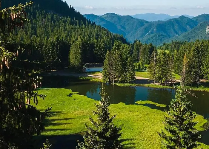 Nachovata Stoykite, Near Pamporovo * Vodata
